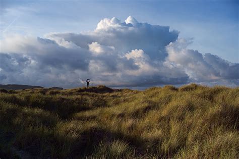 Field Grass Silhouette Clouds Landscape Hd Wallpaper Peakpx
