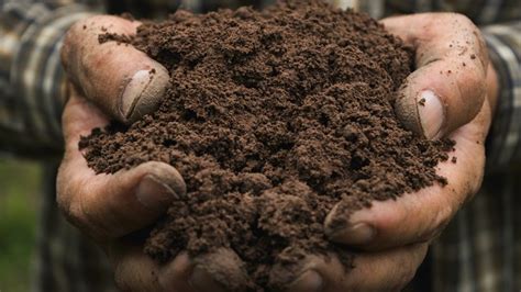 Oregon Legalizes Human Composting As A Final Resting Option