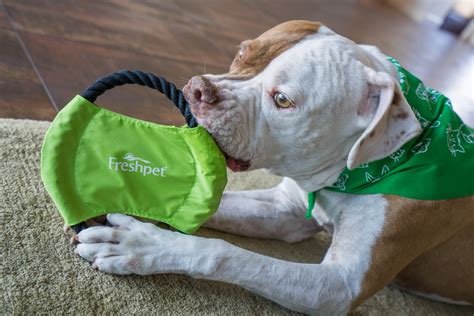 Freshpet wants to bring healthy, delicious food to your cat or dog. An Easy Way to Feed Your Dog Fresh Food - La Jolla Mom