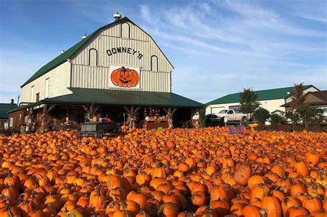 Theres A Massive Pumpkin Festival Near Toronto Opening This Month