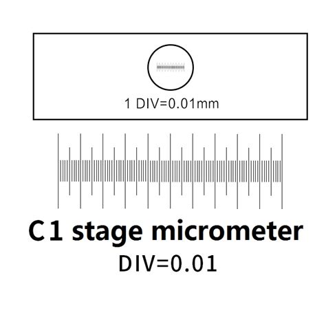 C1 Stage Micrometer Div001mm