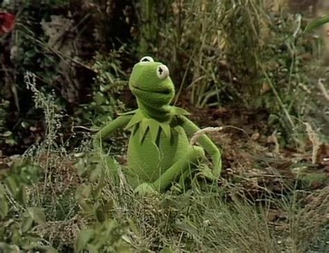 We have 12 pictures on kermit 1080x1080 including images, pictures, models, photos, and more. 699 best Kermit the -Muppet- Frog images on Pinterest | Funny stuff, Jokes quotes and Kermit