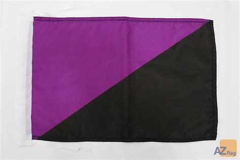Bandera Anarcofeminismo 45x30cm Compra Venta Banderas Del Anarquismo