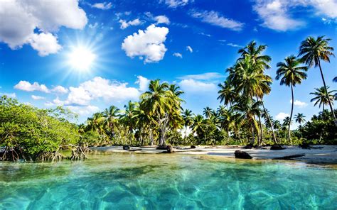 Sunny Sea And Palm Trees Hd Wallpaper