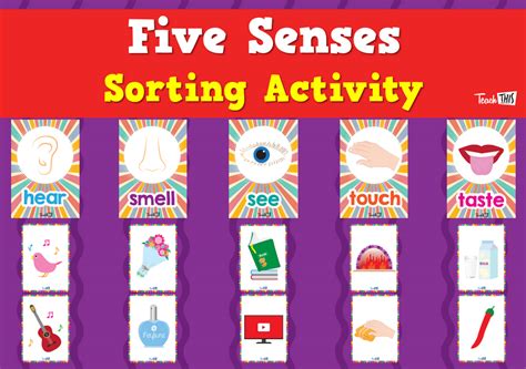 Five Senses Sorting Activity Teacher Resources And Classroom Games