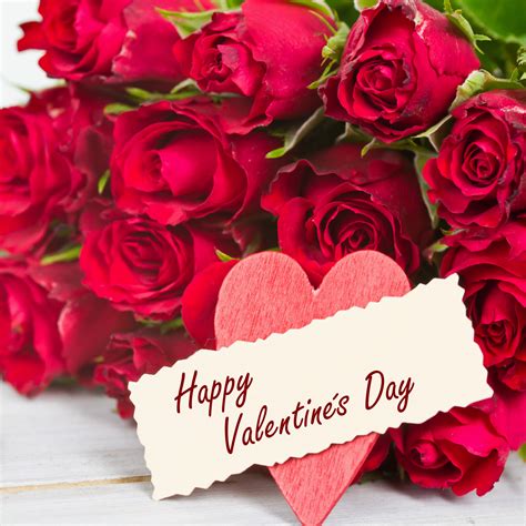 Roses Happy Valentine's Day Background | Gallery ...