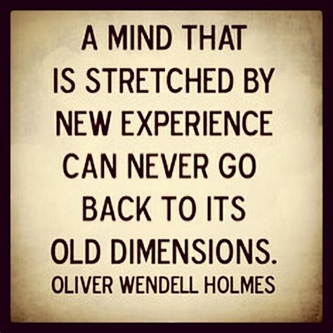 A Mind That Is Stretched By New Experience Can Never Go Back To Its Old