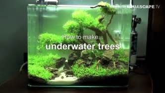 Aquascaping ? How to make trees in planted aquarium Qtiny.com