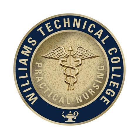 Gold Electroplate Practical Nursing Pin