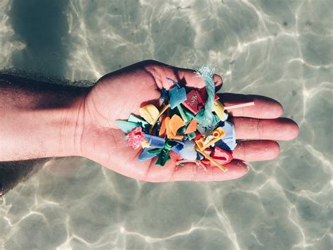 Warum Wir Die Neue Kampagne „weniger Plastik Ist Meer“ Mögen Viertel Vor
