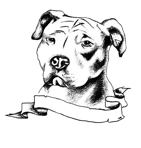 For the staffy dog lover, here is my staffordshire bull terrier dog print from my original charcoal drawing, which would make a fab dog lover gift or pet portrait gift. 7 Pit Bull Dog Tattoo Designs and Stencils