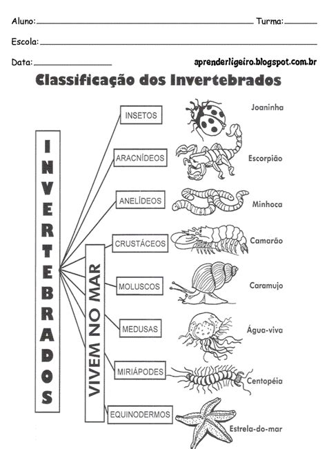 aprender ligeiro atividades de animais invertebrados para imprimir