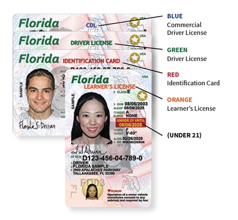 Florida's NEW Driver License and ID Card - Florida Department of