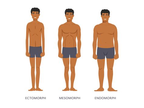 3 Main Body Types Of Men And How To Tell Them Apart Mindvalley Blog