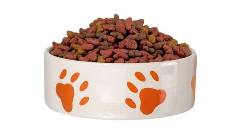 Can Adding Water To Dry Dog Food Cause Diarrhea Petshopak