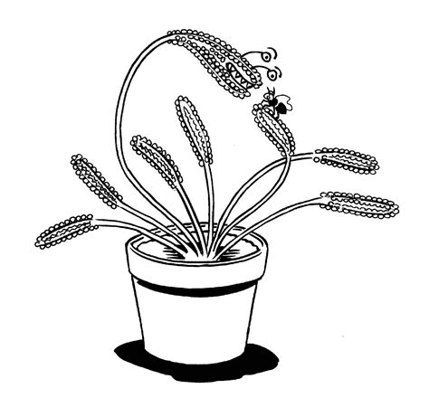 With this tree coloring sheet, you can also encourage him to plant a tree. Carnivorous Plant coloring, Download Carnivorous Plant ...