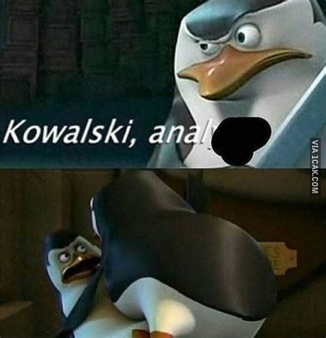 The Best Penguins Of Madagascar Memes Memedroid