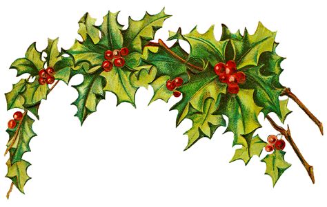 Christmas Holly Border Free Clipart 2023 New Top Popular Incredible