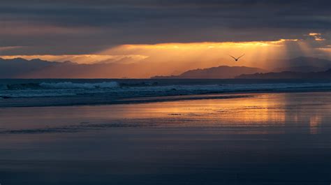New Zealand Beach Beaches Coast Sea Ocean Evening Sunset