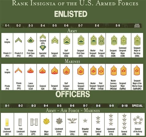 Listing of enlisted, warrant officer, and officer level ranks of the united states army military service arranged from lowest to highest. why only usa has the sergeant major system ...