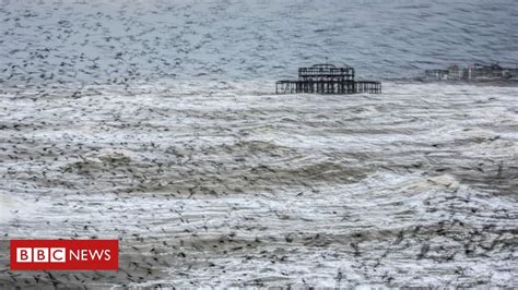 Parts of kent, essex and east sussex were braced for tornadoes yesterday as intense storms and torrential rain moved in. Brighton 'tornado of starlings' photograph scoops top ...