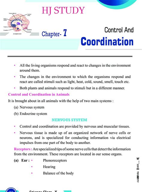 Control And Coordination Class 10 Notes By Hasan Hj Study Hasan Jawed