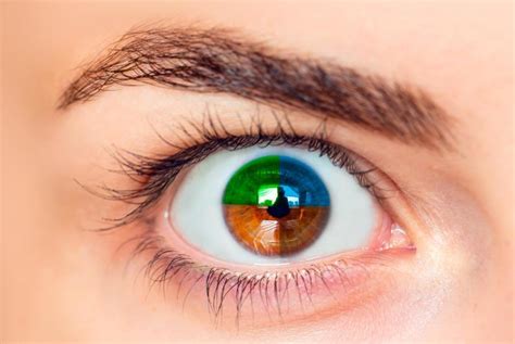 Coloured Contacts Mountain Eye Care