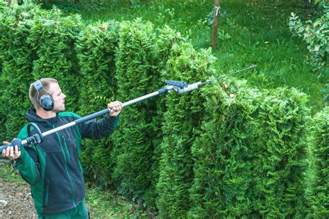 Hedge Cutting Service In Ashford Kent 01233 542900