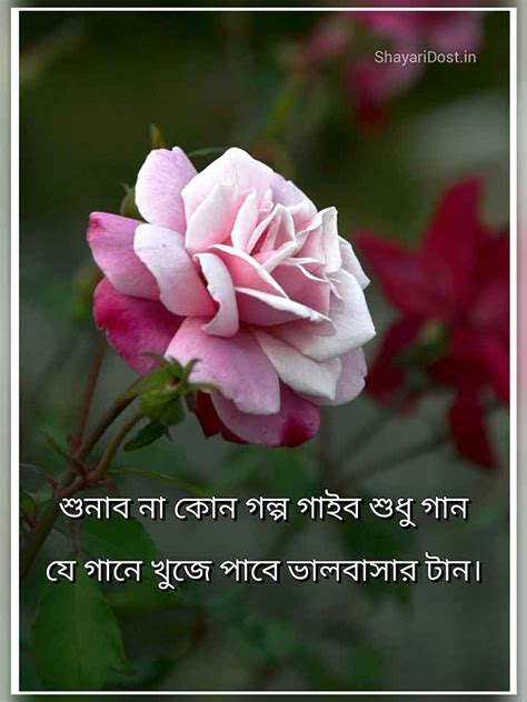 143 New Bengali Love Poem Romantic Love Poem In Bangla