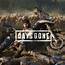 Days Gone Photo Mode Revealed – PlayStationBlog