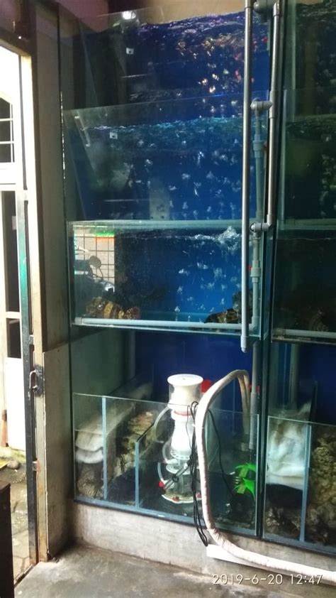 Maybe you would like to learn more about one of these? Kerangka Meja untuk Aquarium Air Laut atau Aquascape