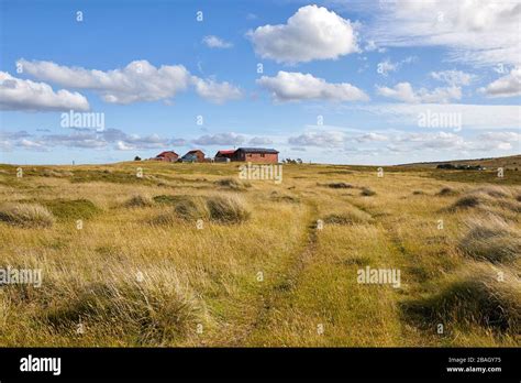 Darwin Falklands High Resolution Stock Photography And Images Alamy
