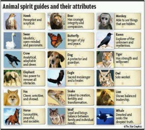 Short List Of Animal Guides Animal Energy Speak