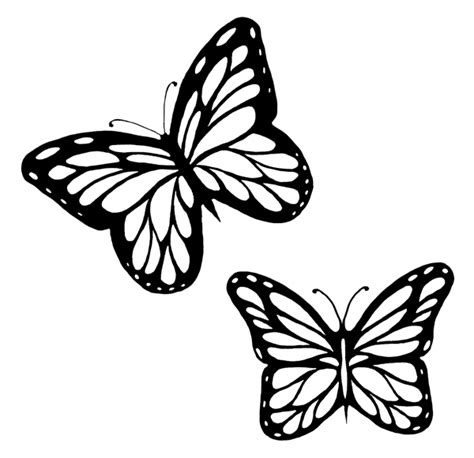 Free Butterfly Black And White Outline Download Free Butterfly Black
