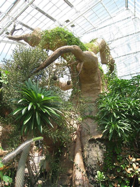 Cleveland Botanical Garden | Cleveland botanical garden, Botanical