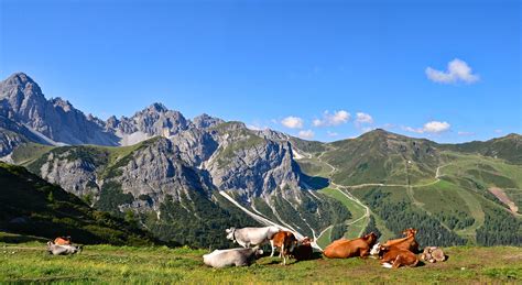 Looking for hotels in axamer lizum? In der Axamer Lizum Foto & Bild | world, sommer, natur ...