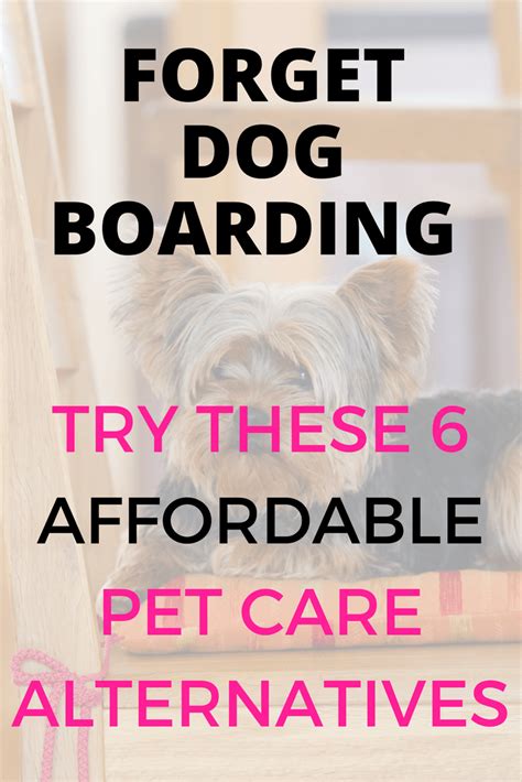 Dedicated to high quality care. Affordable Pet Care Near You That Won't Break The Bank ...