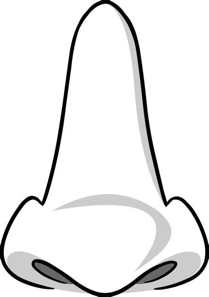 Free clipart in high resolution raster and vector files. Nose clipart illustration, Nose illustration Transparent ...