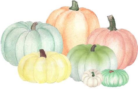 Watercolor Pumpkins Pastel Sticker By Stephaniejordan53