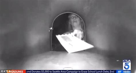 La Homeowner Catches Mailbox Thief On Hidden Camera Daily Mail Online