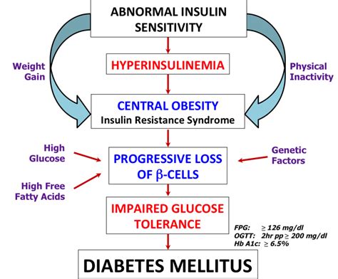 This is a condition that occurs when the immune system mistakenly attacks and destroys. PDB-101: Global Health: Diabetes Mellitus: About: Causes ...