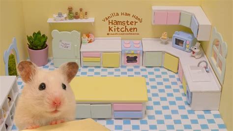 Building The Hamster Kitchen Part 1 Youtube