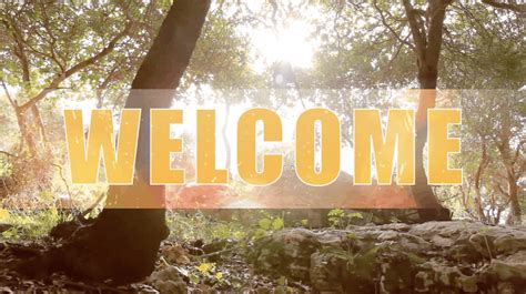 Forest Welcome - Church Media Resource