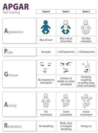 Apgar Score Neonatal Nurse Nursing Mnemonics Pediatric Nursing