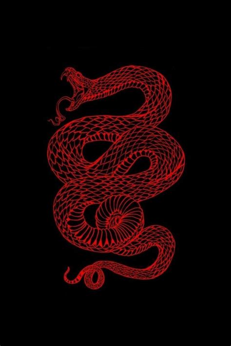 Find red aesthetic wallpapers hd for desktop computer. Red snake in 2020 | Snake wallpaper, Red aesthetic ...