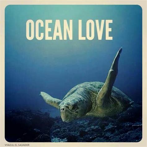 Ocean Love Please Take Care Of Our Oceans Save Our Oceans Animal