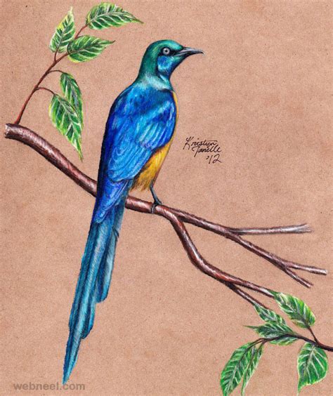 40 Beautiful Bird Drawings and Art works for your inspiration