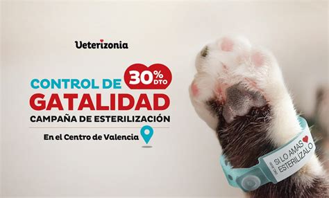 Campa A Esterilizaci N Gatos Valencia Veterizonia