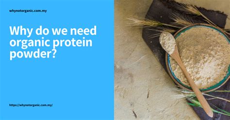 Vplab protein milkshake has only 123 calories and 52% of protein per serving and it tastes like classic milkshake! Why do we need organic protein powder? - Business Info ...
