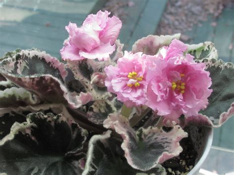 An easier method is to attach the patch to the back and mending holes. Antique Tapestry (10219) 01/27/2010 (P. Sorano/Lyndon Lyon ...